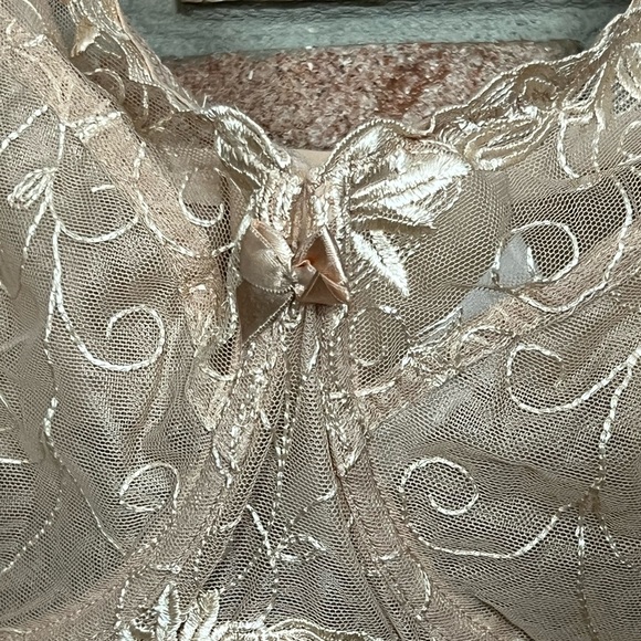 Garmera Lace Bra - Picture 4 of 5